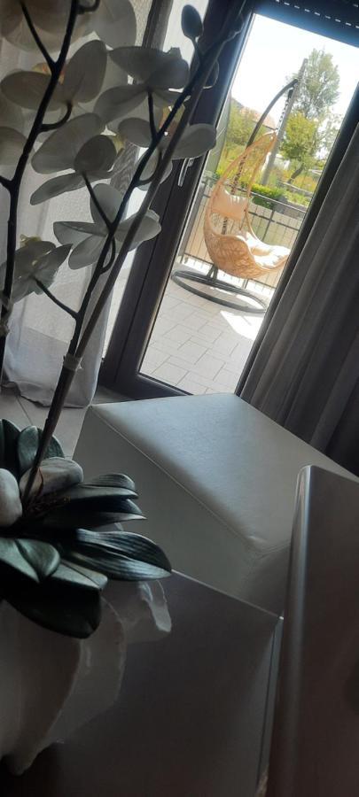 Bed and Breakfast Alba Magica Аджерола Экстерьер фото