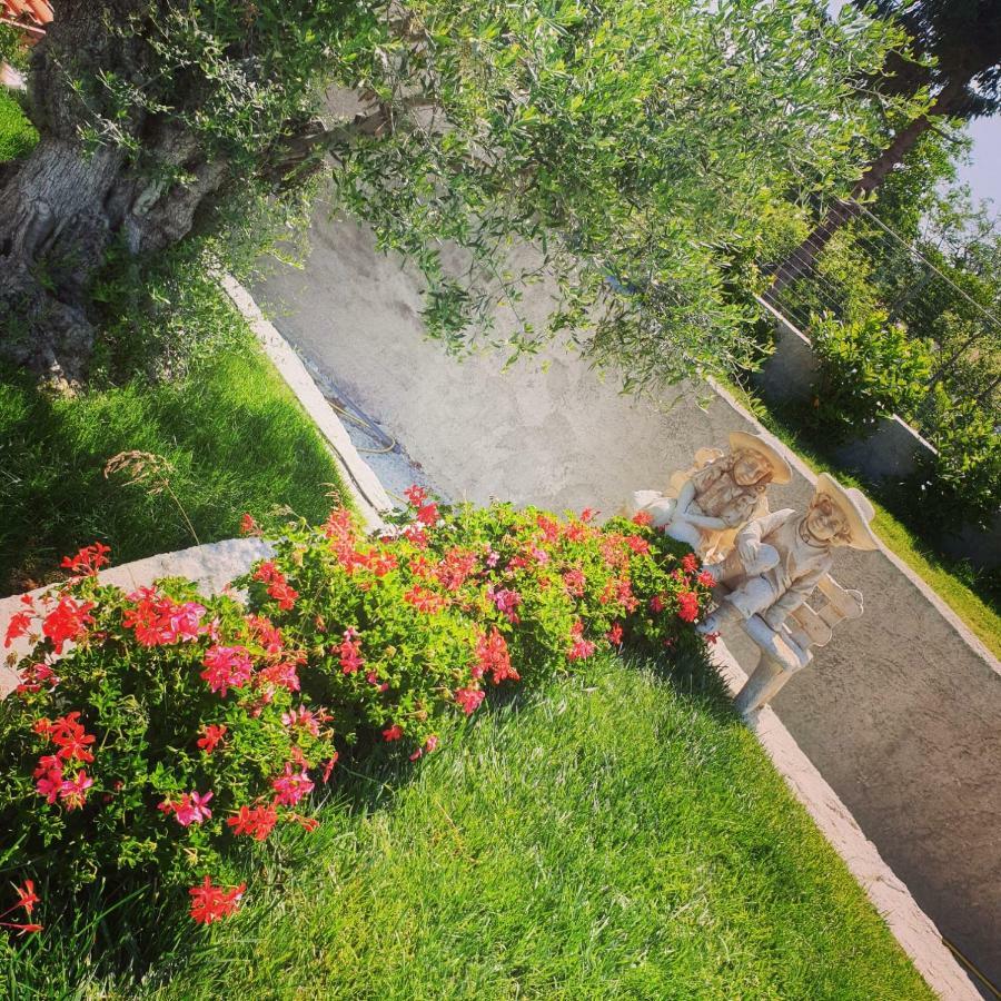 Bed and Breakfast Alba Magica Аджерола Экстерьер фото
